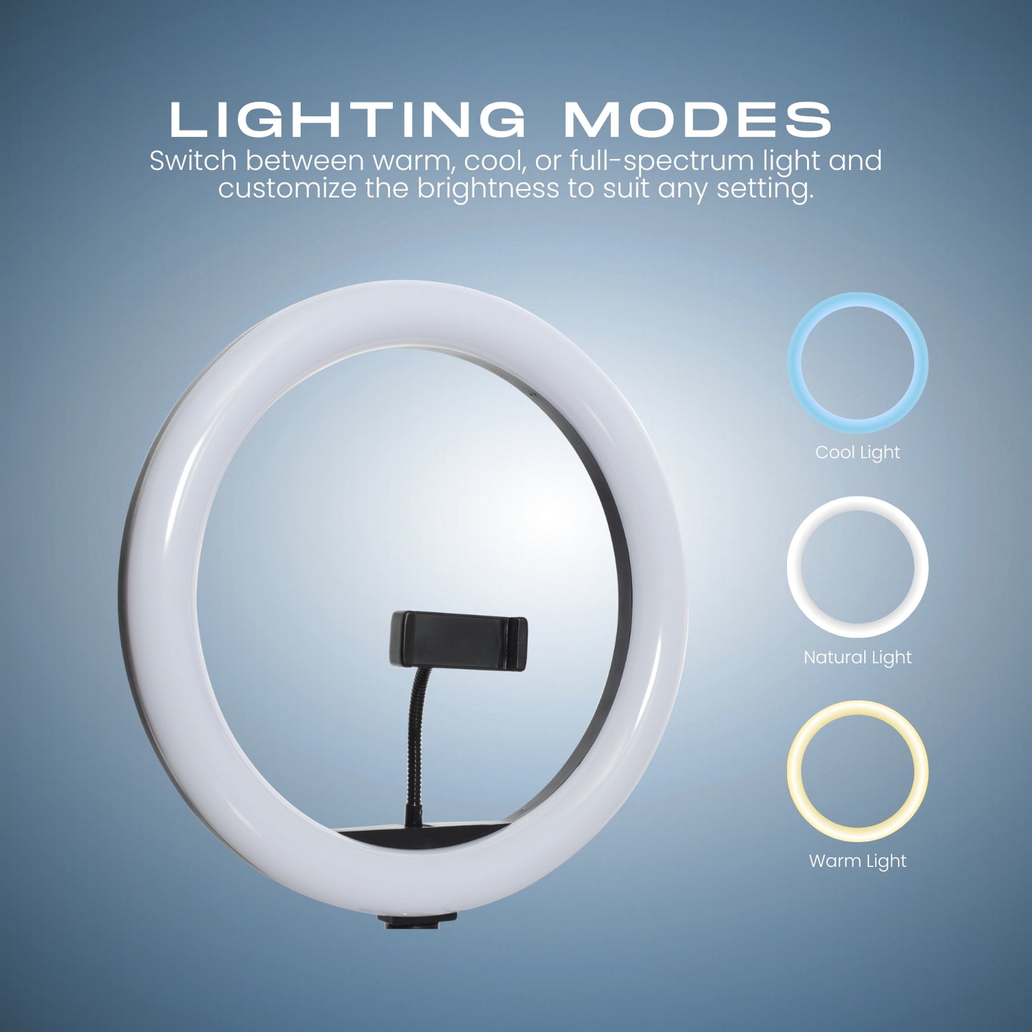 LED Ring Light with Mini Tripod and Phone Holder