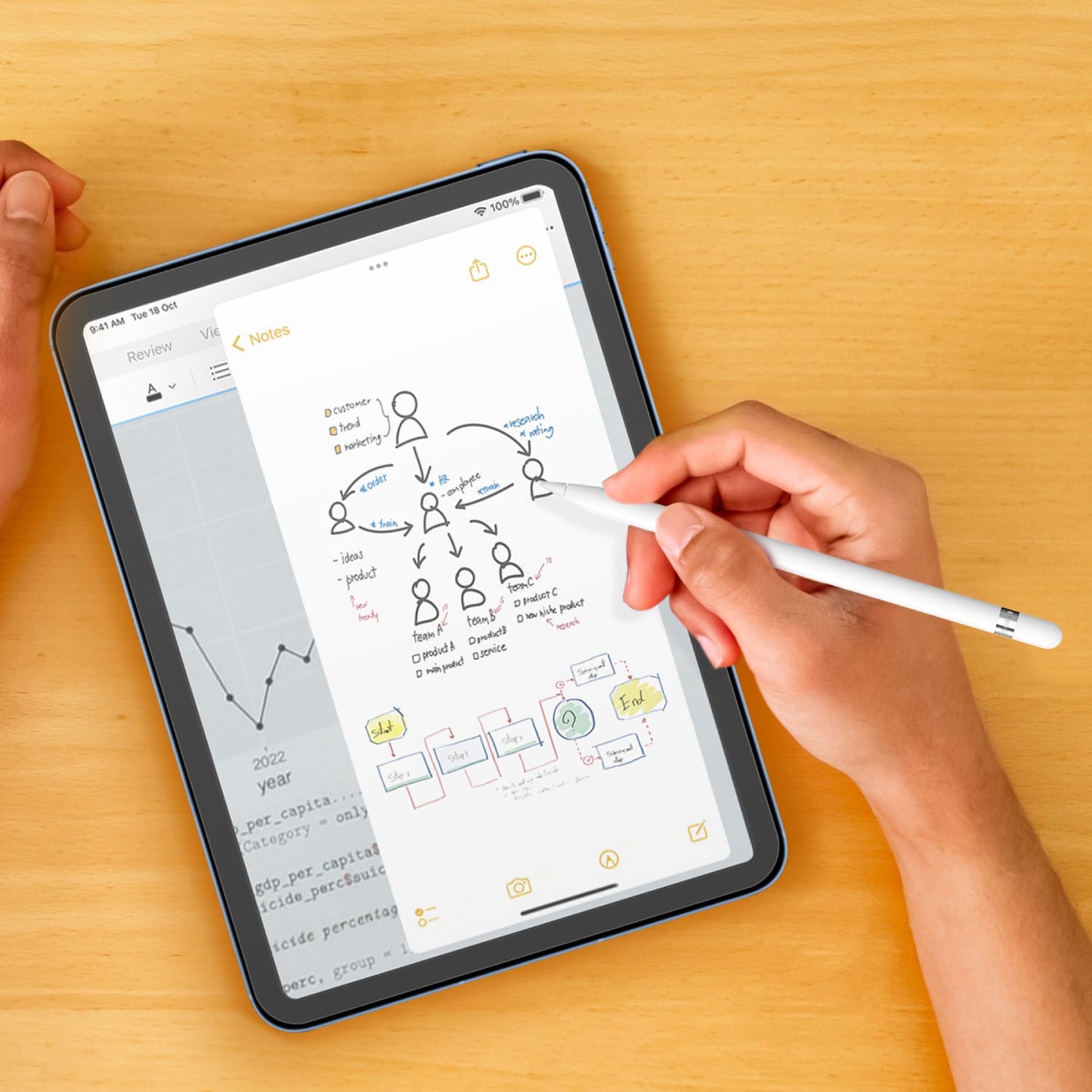 SketchR Graphic Screen Protector