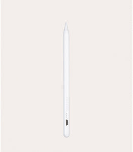 iPad 10.2 / White