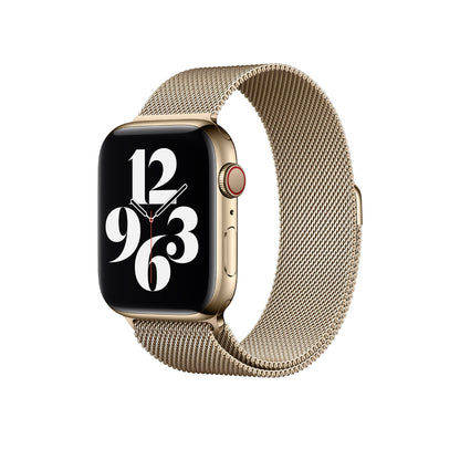 Watch Strap - Apple - Stainless Steel
